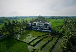 The LUXE Ubud, a Boutique Hotel