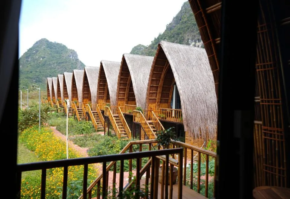 Cat Ba Holiday Retreat