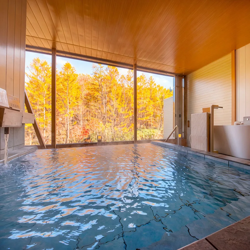Hotel Ryu Resort and Spa