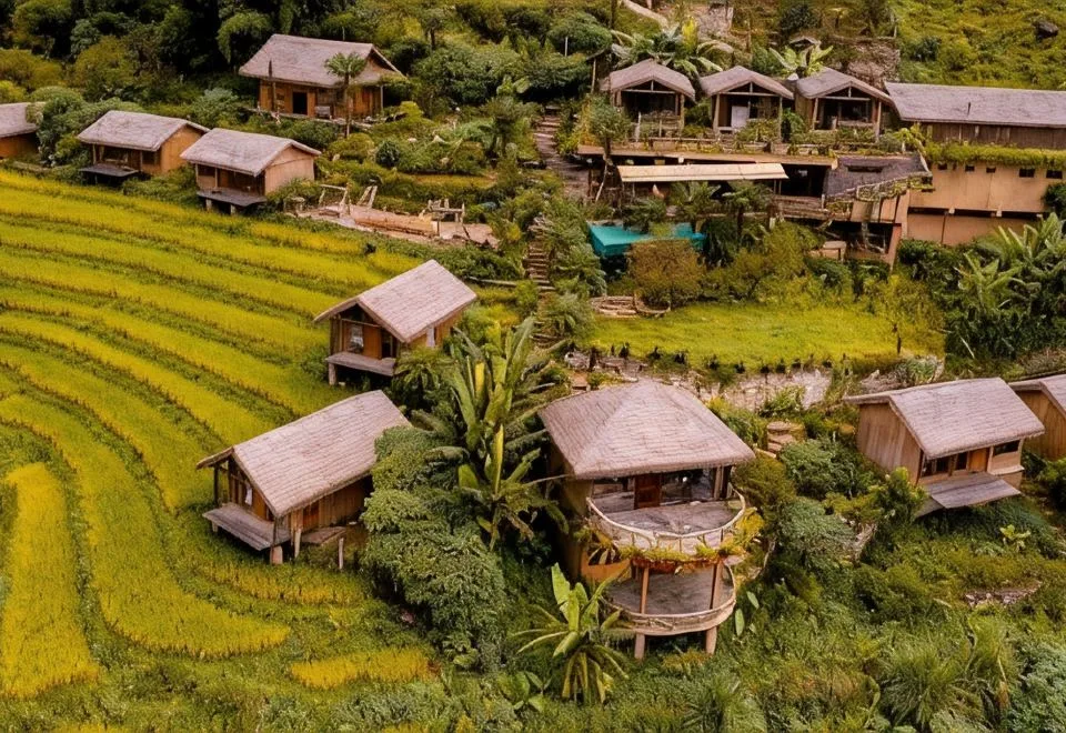 Eco Palms House — Sapa Retreat