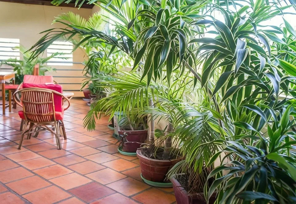 Visal Sak Guesthouse