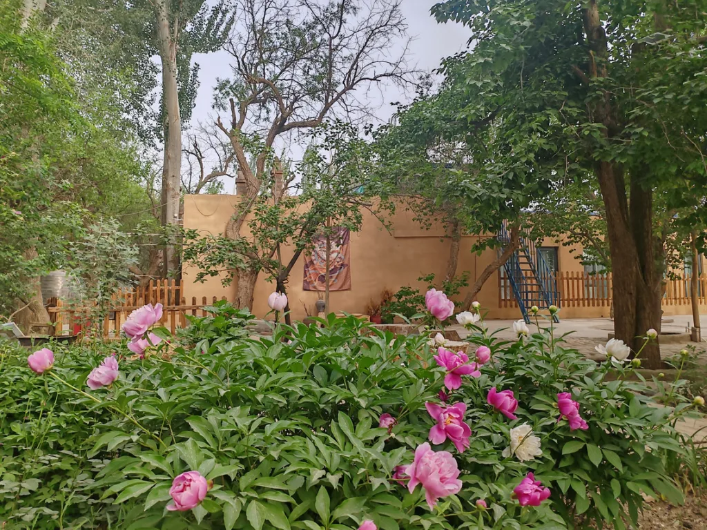 Wushe・PlaDunhuang Wushe Homestay(Dunhuang Mingsha Mountain and Crescent Moon Spring)