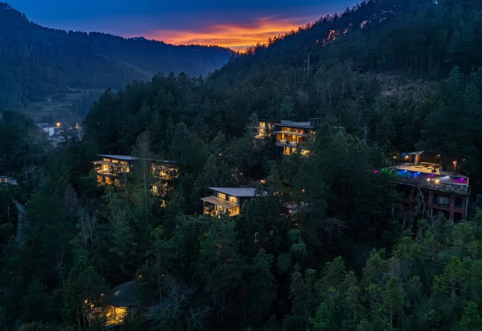 Forest homestay at sunrise
