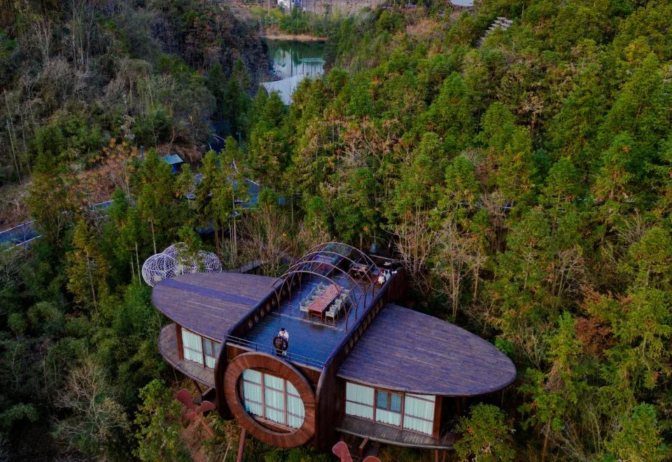 Ziyoujia · Tree house World