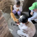 Пекин — Прибытие в Китай. Великая Китайская стена., Fairfield by Marriott Beijing Daxing Airport