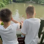Гуйлинь — Гуйлинь, прогулка., Пагоды Солнца и Луны