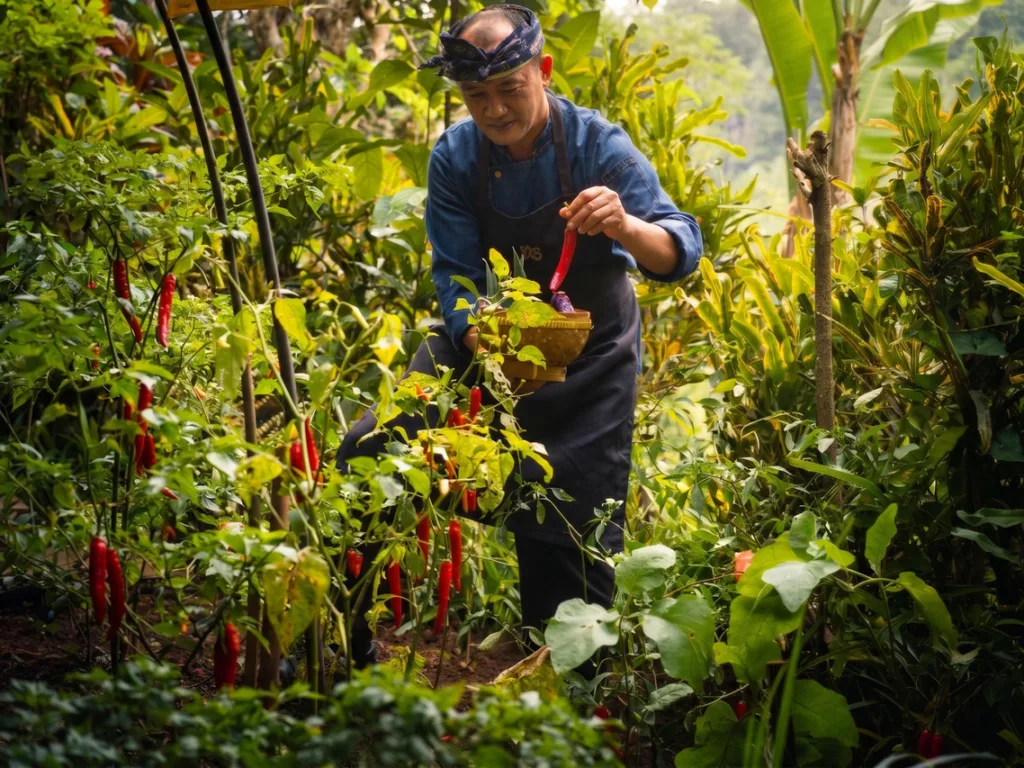 Hanging Gardens of Bali: бассейн, признанный лучшим в мире, и декорации «Есть, молиться, любить»