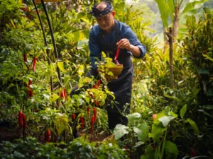 Hanging Gardens of Bali
