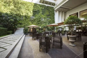 Rex Hotel