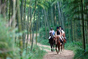 Naked Stables Resort
