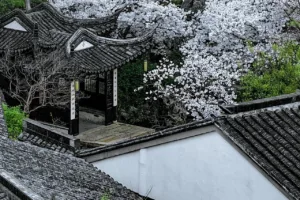 Scholars Hotel Xuntang