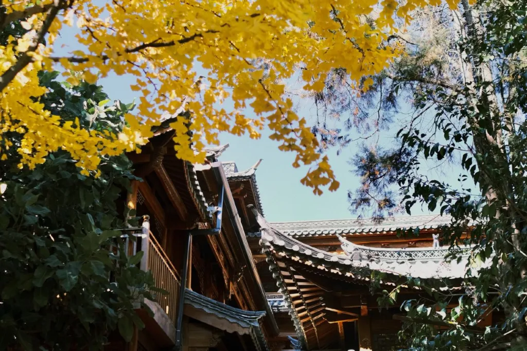GRAND JOLI Demei Huasu Cuiyuan